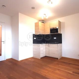 Pronájem bytu 1+kk a garsoniéry 26 m² Praha, Perucká