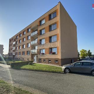 Pronájem bytu 1+1 45 m² Častolovice, Školská