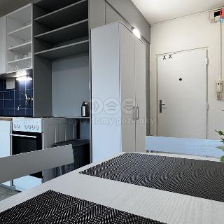 Pronájem bytu 1+kk a garsoniéry 21 m² Litoměřice, Alšova