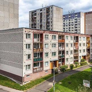 Pronájem bytu 3+1 75 m² Děčín, Hrdinů