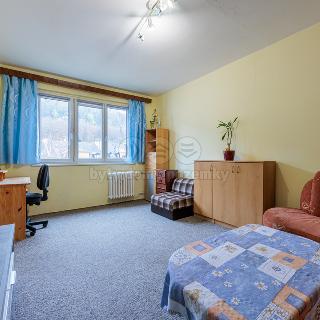 Prodej bytu 1+1 35 m² Karlovy Vary, Krymská