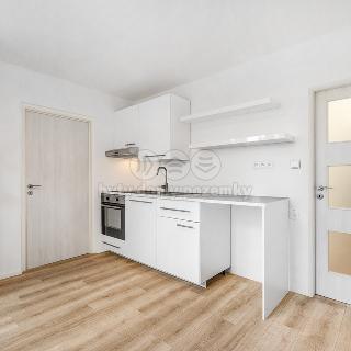 Pronájem bytu 1+1 39 m² Liberec, Žitná