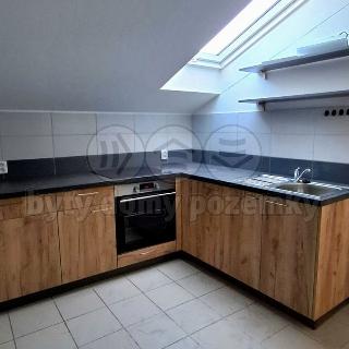 Pronájem bytu 2+1 49 m² Praha, Mladoboleslavská