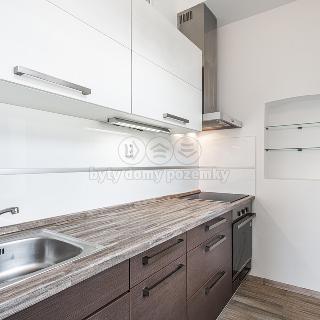 Prodej bytu 2+1 39 m² Liberec, Hašlerova