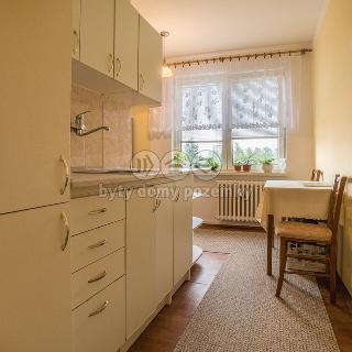 Prodej bytu 1+1 40 m² Český Těšín, Hornická