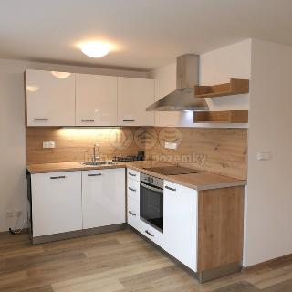 Pronájem bytu 1+kk a garsoniéry 42 m² Libušín, Důl Libušín