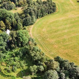 Prodej stavební parcely Dvorce