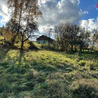 Prodej stavební parcely Čestice