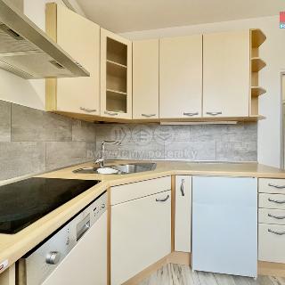 Prodej bytu 1+1 38 m² Žamberk, 28. října