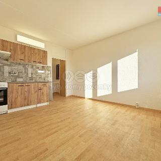 Pronájem bytu 1+kk a garsoniéry 20 m² Horní Slavkov, Dlouhá