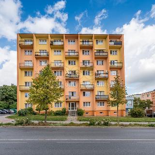 Pronájem bytu 2+1 50 m² Mělník, Pražská