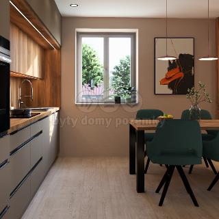 Prodej bytu 1+kk a garsoniéry 46 m² Žamberk, Velký Hájek