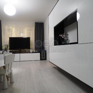 Prodej bytu 3+1 67 m² Orlová, Okružní