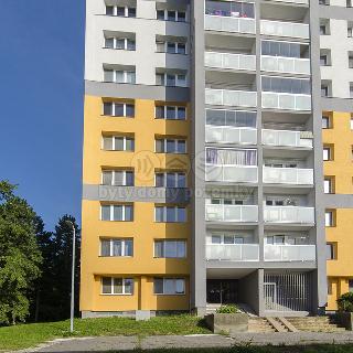 Prodej bytu 1+kk a garsoniéry 26 m² Ostrava, Lumírova