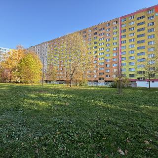 Prodej bytu 2+1 54 m² Ostrava, Mjr. Nováka