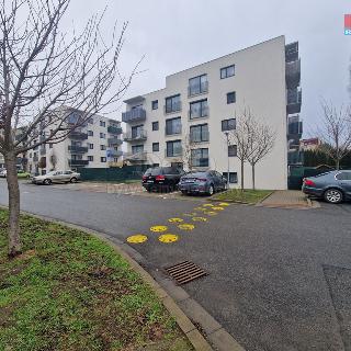 Prodej bytu 1+kk a garsoniéry 23 m² Milovice, Armádní