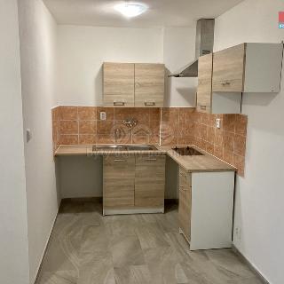 Pronájem bytu 1+kk a garsoniéry 25 m² Švihov, Čsl. legií