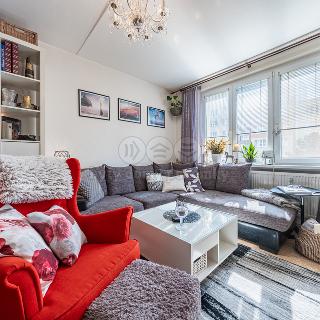 Pronájem bytu 1+1 36 m² Chomutov, Zahradní