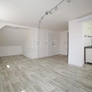 Pronájem bytu 1+1 40 m² Karlovy Vary, Nerudova