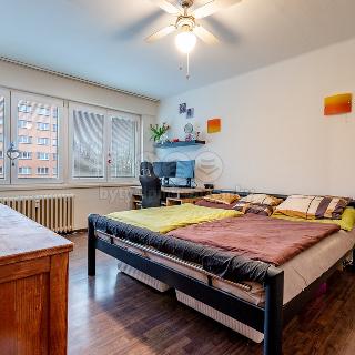 Prodej bytu 1+1 28 m² Ostrava, Polská