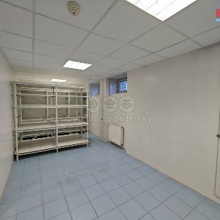 Pronájem skladu 33 m² Brno, Vídeňská