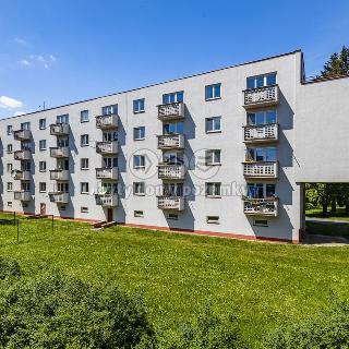 Pronájem bytu 2+1 56 m² Hradec Králové, Labská kotlina