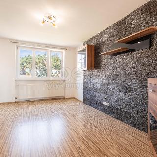 Pronájem bytu 2+1 58 m² Habartov, Raisova