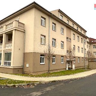 Prodej bytu 1+kk a garsoniéry 26 m² Milovice, Slepá