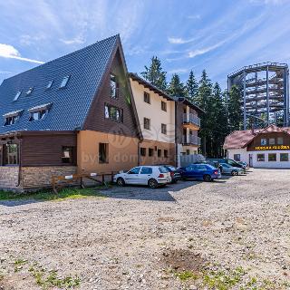 Prodej hotelu a penzionu 1 200 m² Lipno nad Vltavou