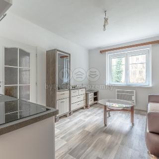 Prodej bytu 2+kk 51 m² Liberec, Mlýnská