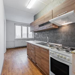 Pronájem bytu 3+1 77 m² Horní Slavkov, Školní