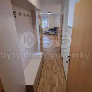 Pronájem bytu 2+kk 45 m² Znojmo, Přímětická