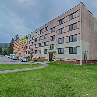 Prodej bytu 3+1 63 m² Prachovice, Bučina