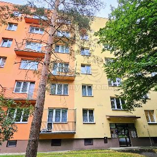 Pronájem bytu 1+kk a garsoniéry 24 m² Ostrava, Alžírská