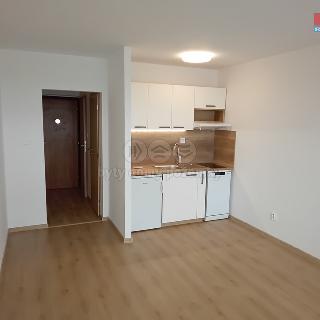 Pronájem bytu 1+kk, garsoniery 27 m² Ostrava