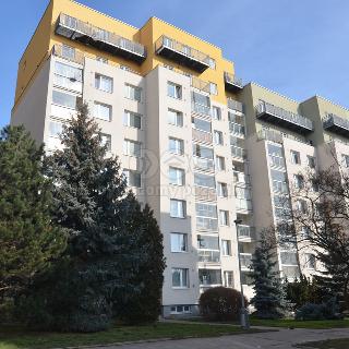 Pronájem bytu 3+1 70 m² Praha, Pospíchalova