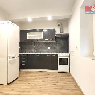 Pronájem bytu 2+kk 50 m² Dřísy, Hlavnovská