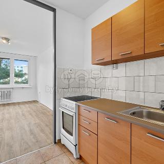 Pronájem bytu 2+kk 40 m² Kladno, Holandská