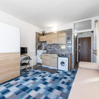 Pronájem bytu 1+kk a garsoniéry 20 m² Karlovy Vary, Buchenwaldská