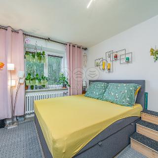 Prodej bytu 1+1 27 m² Šumperk, Jeremenkova