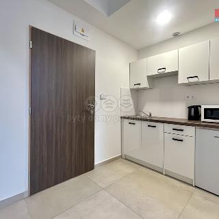 Pronájem bytu 1+kk a garsoniéry 40 m² Humpolec, Masarykova