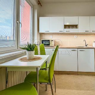 Pronájem bytu 1+1 40 m² Ostrava, Jugoslávská