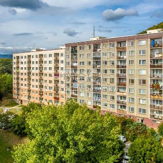 Pronájem bytu 1+1 42 m² Děčín, Dvořákova