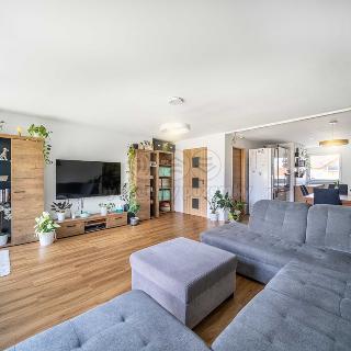 Prodej rodinného domu 107 m² Břasy