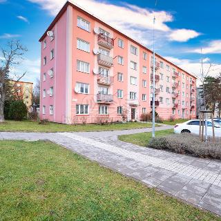 Prodej bytu 3+1 60 m² Olomouc