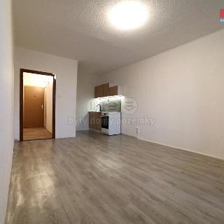 Pronájem bytu 1+kk a garsoniéry 28 m² Moravský Beroun, gen. Svobody