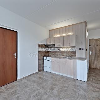 Pronájem bytu 1+1 36 m² Chomutov, Kamenný vrch