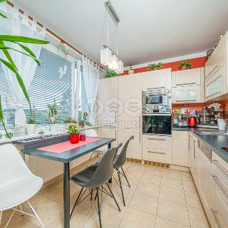 Prodej bytu 2+1 47 m² Bludov, Školní