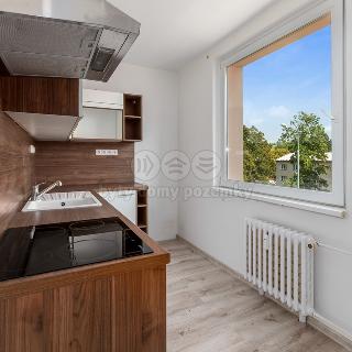 Prodej bytu 2+1 55 m² Rokytnice v Orlických horách, Sídliště 1. máje