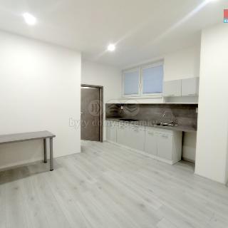 Pronájem bytu 1+1 40 m² Frýdek-Místek, Růžový pahorek